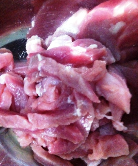 Carne de porco acebolada com shoyo